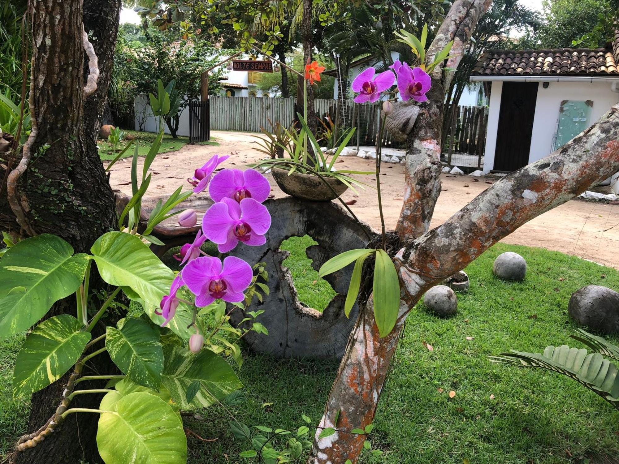 Victor Hugo Pousada Com Natura E L'Occitane Santo André Exterior foto